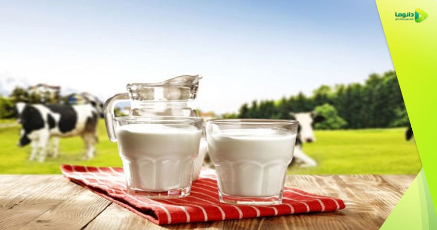 شیر خوردنی- خواص، مضرات و شیوه نگهداری