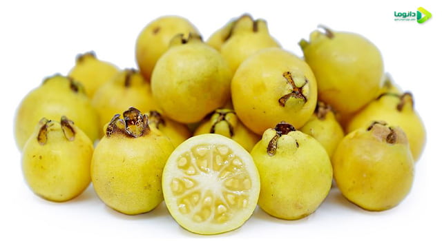 میوه گواوا خواص، مضرات و طبع میوه گواوا